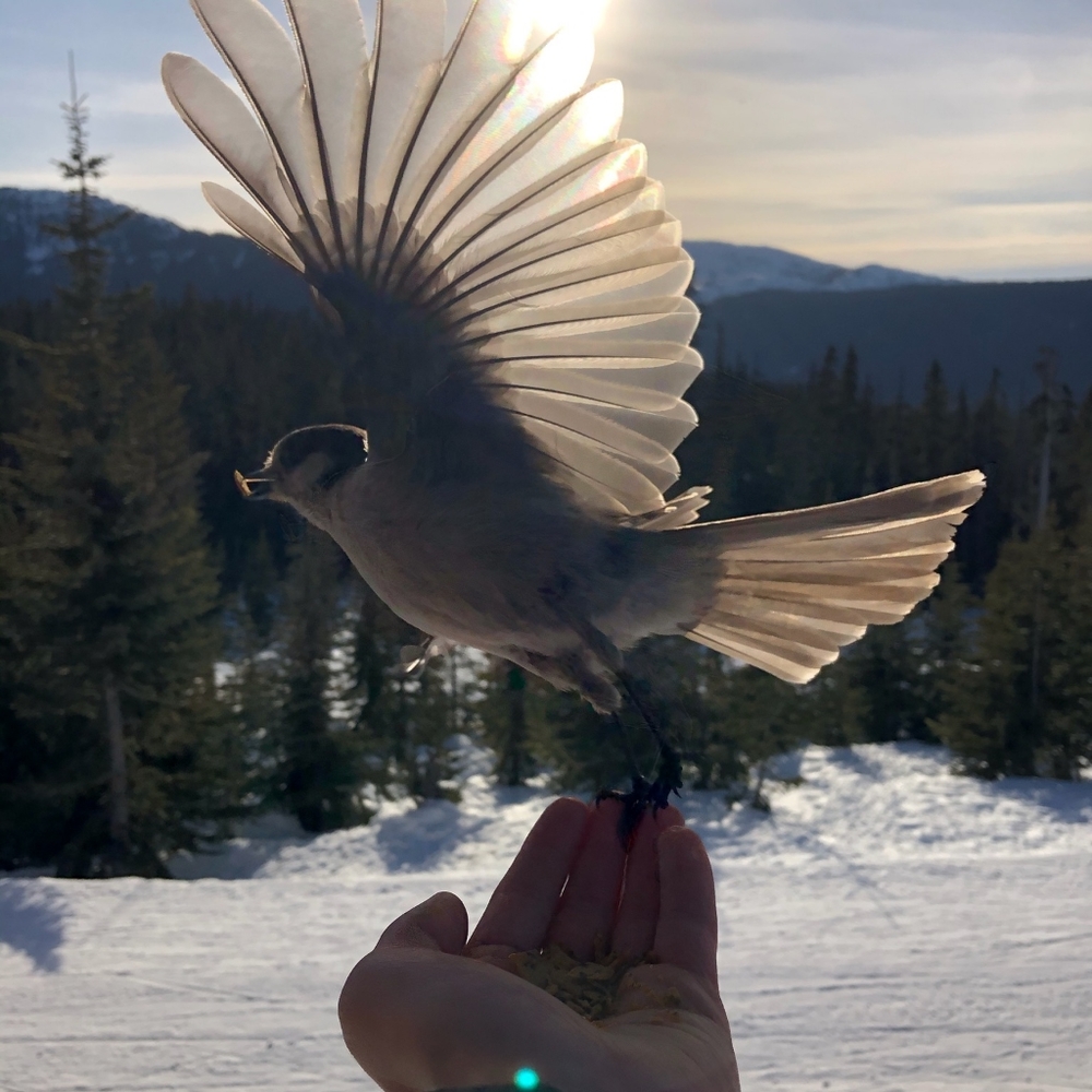 Meet your Posher, Sandy